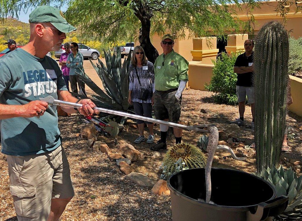 Rattlesnake Handling Class, May 4th 2019 – Pima Master Naturalists