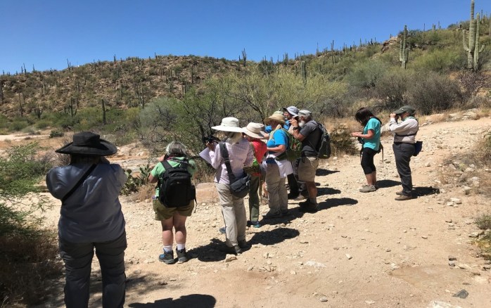 lizard walk group pic