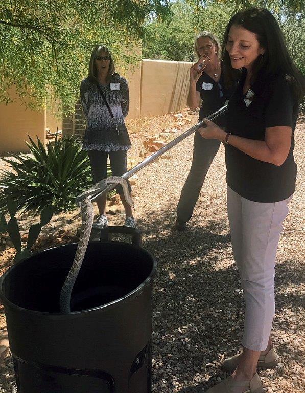 PennyRattler_edited-1