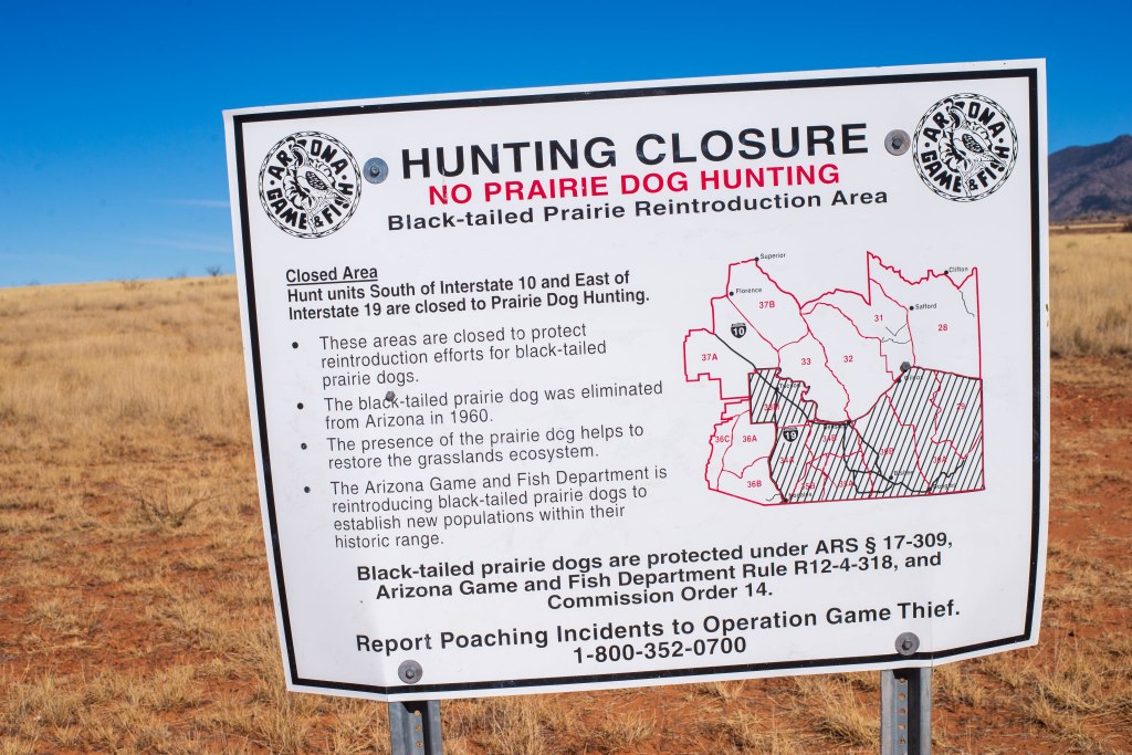 A sign post stands in front of an open field of grass. The sign reads, "Hunting Closure. No prairie dog hunting. Black-tailed prairie dog reintroduction area."