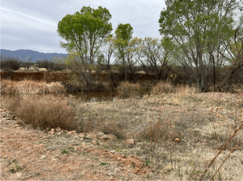 Naco Mammoth Kill Site
