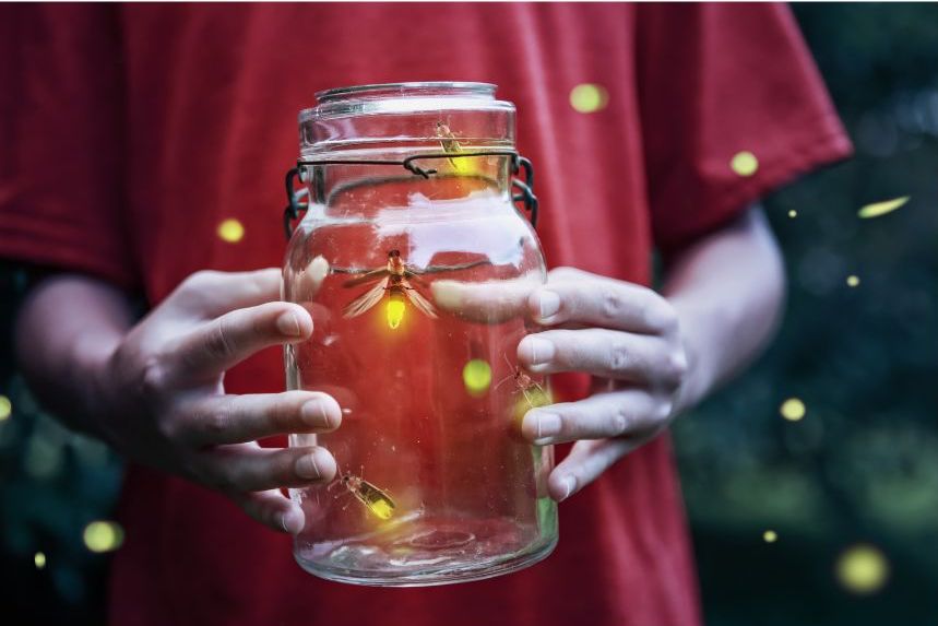 Southwest Synchronous Fireflies at Tumacacori – Pima Master